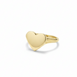 Hjerte Signet ring i 14 kt rødguld - 15031H