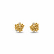 Blomster ørestikker 0,04 ct - 29052D04