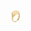 14kt Signet ring - 15031-54